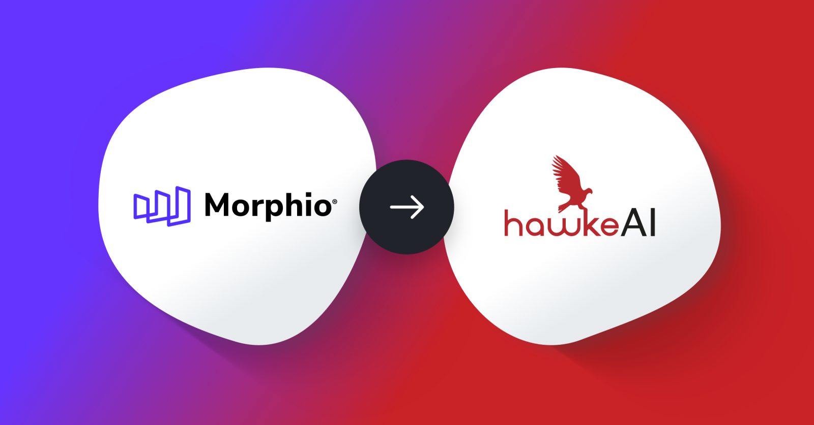 Hawke Acquires Morphio to Bolster the Launch of hawke.ai Featured Image